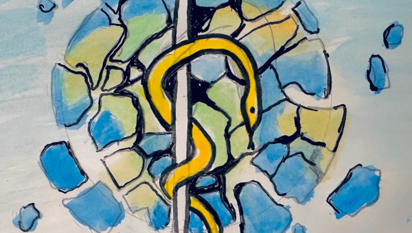 fragmented global health