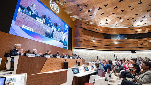 Plenary World Health Organization 77 WHA 2024