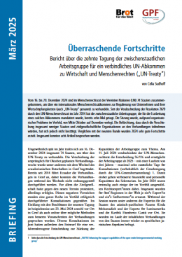 Cover_UN-Treaty_Überraschende Fortschritte