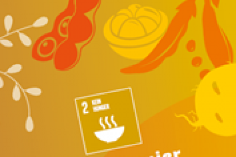 Cover_PM_Welternährung