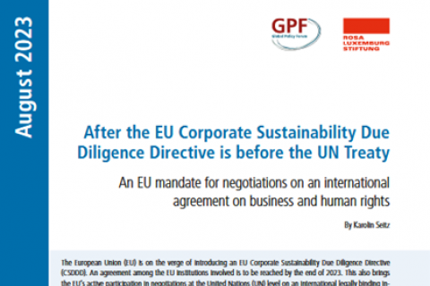 Cover_EU-CSDDD_UN-Treaty