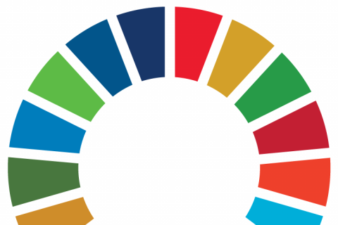 SDG Wheel