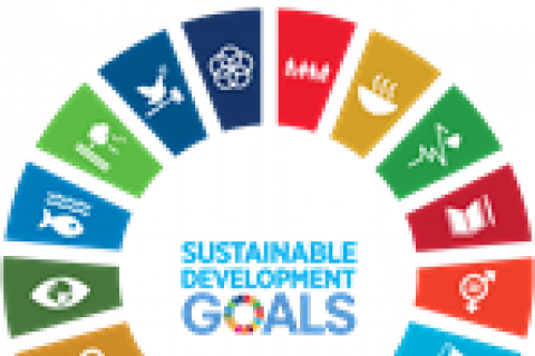 SDGs wheel